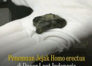 Jejak 140 Ribu Tahun Homo Erectus Sundaland Sudah Eksis di Selat Madura.
