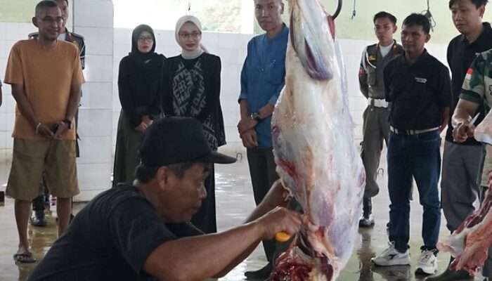 Wali kota kediri Tinjau RPH Kelurahan Pojok, Pastikan Hewan Kurban Disembelih Sesuai Prosedur dan Aman Dikonsumsi