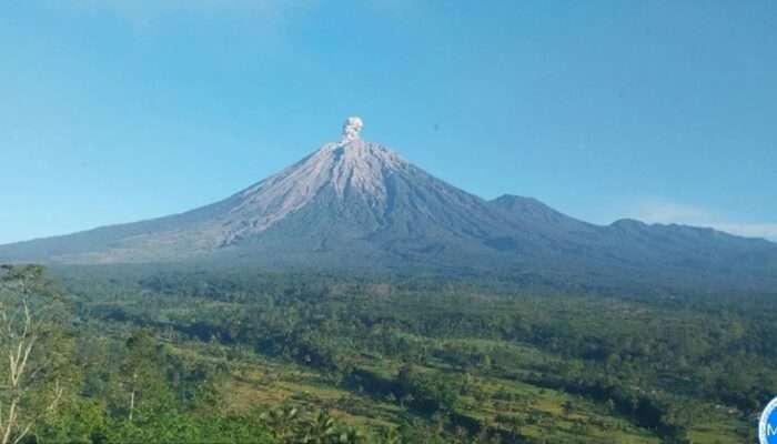 Tercatat Hingga Empat Jam Getaran Banjir Lahar Hujan di Semeru