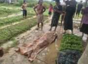 Seorang Pria Tewas Tersambar Petir Saat Hujan Deras