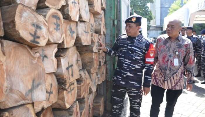 Kodaeral V Gagalkan Upaya Penyelundupan Kayu Ilegal Logging