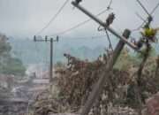 Akibat Erupsi Semeru Tiga luka berat dan 204 Hektare Lahan Rusak Akibat Erupsi Semeru Ungkap BNPB