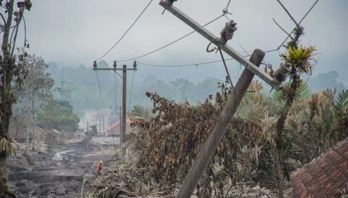 Akibat Erupsi Semeru Tiga luka berat dan 204 Hektare Lahan Rusak Akibat Erupsi Semeru Ungkap BNPB