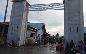 05ac0415-3a5f-4e90-9fab-1d981472a571