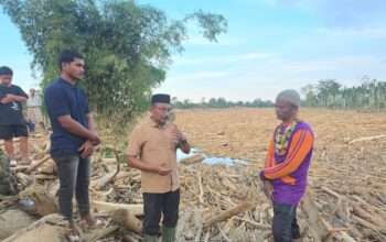 0fda979b-e3f0-4a38-ab4f-52c04de56e10