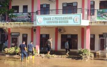 2b5ef203-79fb-4075-96f1-40cc123d9994