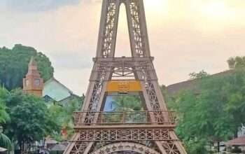 79e0e41a-1d5f-485a-b811-1135ed6594cc