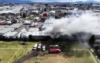 WhatsApp Image 2025-12-17 at 19.34.51