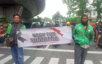 cf722e11-ce2b-4a88-a8d7-5a10f4bc1f7b