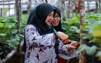 jbeqcevtjo_whatsapp-image-2025-12-09-at-161744