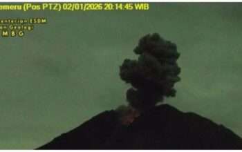 296110ef-2e78-4de2-ab57-85ae3c6673c3