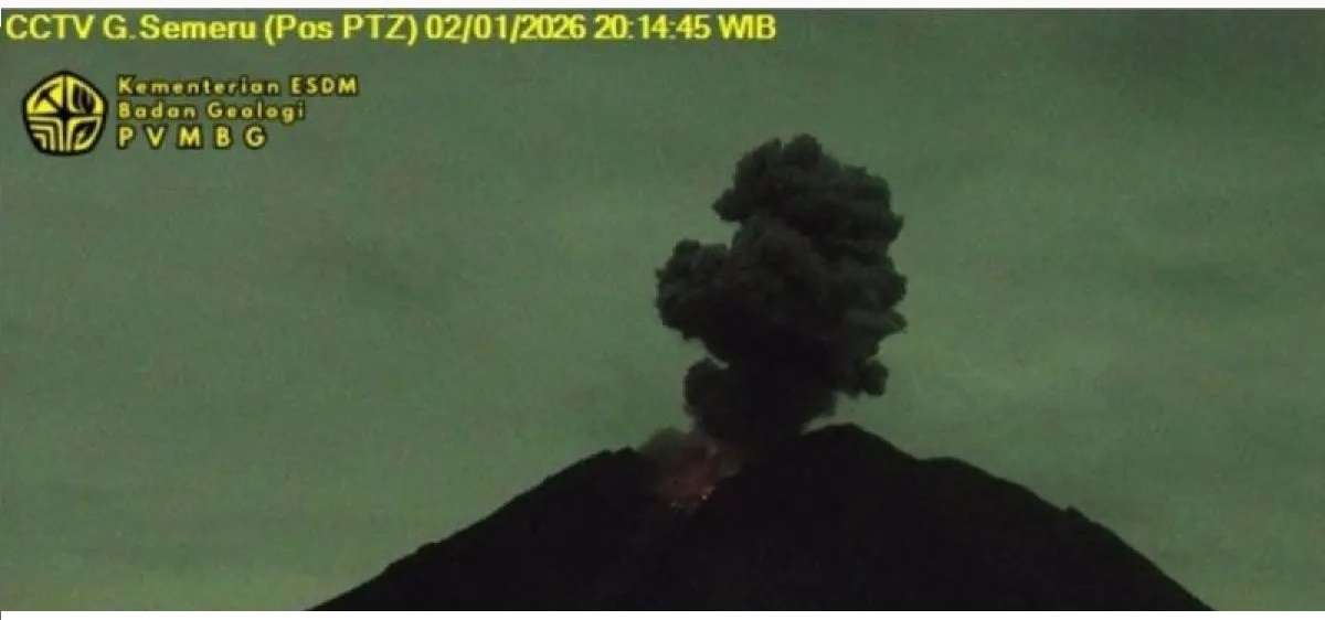 296110ef-2e78-4de2-ab57-85ae3c6673c3