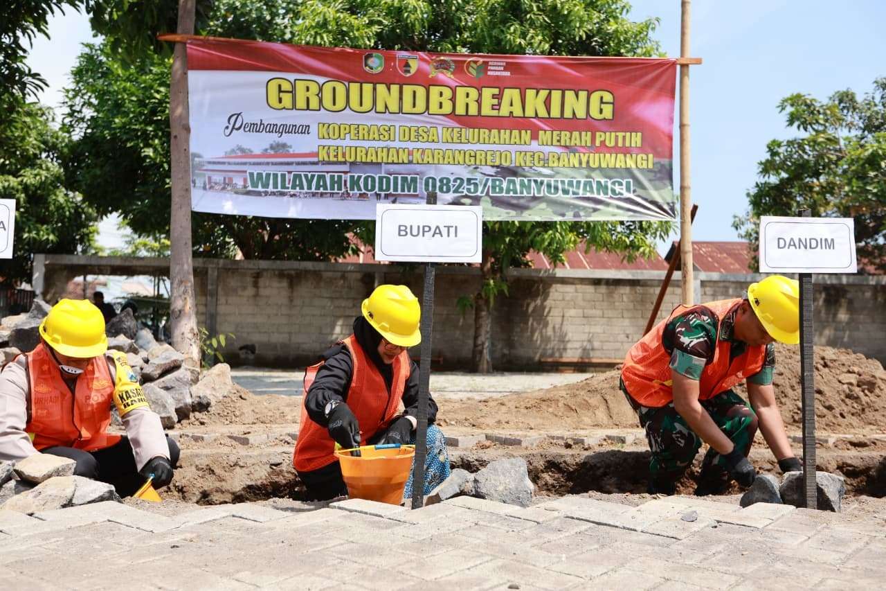 ea5e9d0b-68e7-43a6-914e-de04d8df9be4