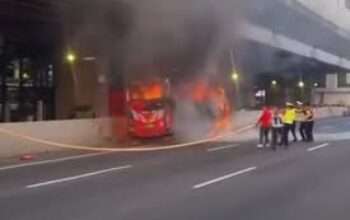 ed1c8a91-2626-474a-b6f7-9152370ebc1f