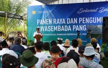 obzas_vkne_whatsapp-image-2026-01-07-at-195700