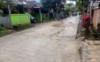 b8ffa988-126d-42ce-9c58-8a774a322781