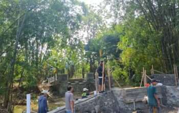 56fbec4f-347f-490f-8ed6-ea506a9f468b