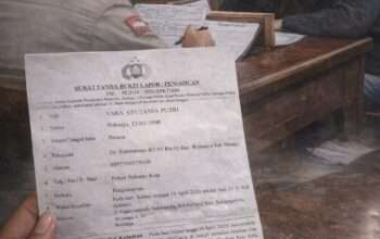 b80341b5-525f-4bd7-97d9-6212b60ef95b